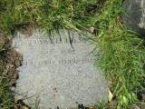 image of grave number 557700